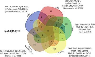 Microglia Diversity in Health and Multiple Sclerosis